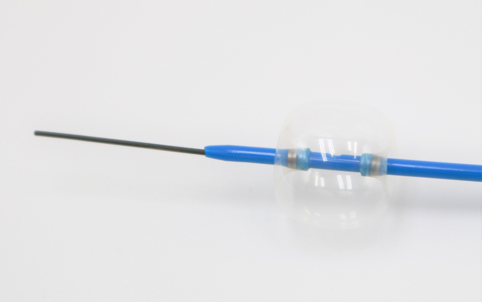 Single-use Stone Extraction Catheter